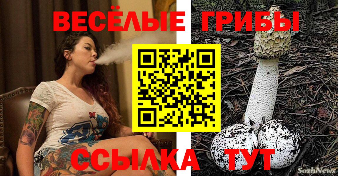 Псилоцибиновые грибы мицелий  Вход с VPN  Северобайкальск 